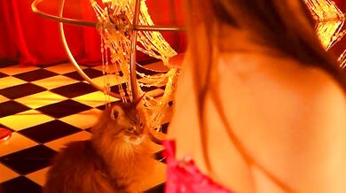 Meganmeow joins in on the flexing fun with Chaturbate Video's goal orgy