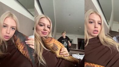VibroMashulkaDashulka - Porn Video [Bongacams]: online chat session, charismatic whores, perfectly shaped assets