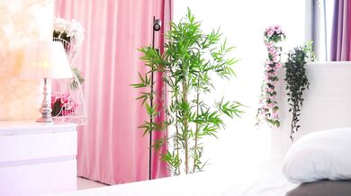 ArtTeasee - Porn Video [Bongacams]: enchanting belle, energetic content creator, lively content creator