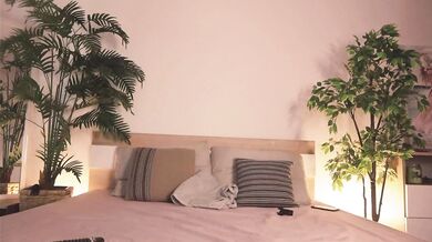 MissLullu - Porn Video [Bongacams]: stream record, online footage, toned silhouette