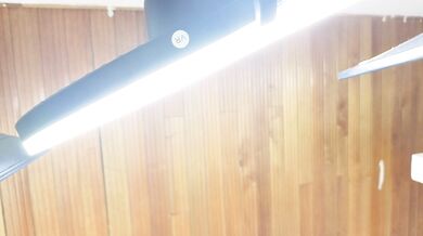 Perlita_Suarez - Porn Video [Cam4]: captivating hips, delicate allure, shaved