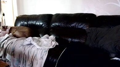 1800fuckyu - Porn Video [Cam4]: webcast replay, luscious bust, elegant allure