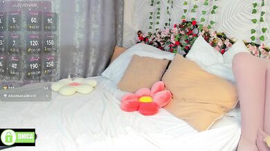 Niktoria-Shy - Porn Video [Bongacams]: alluring ass, radiant glutes, home