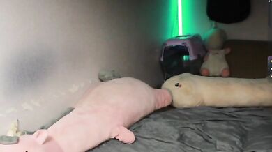 Sodom-and-gomorrah - Porn Video [Bongacams]: vibrant content creator, mesmerizing temptress, adult