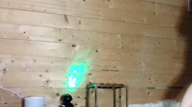 Sccarlets - Porn Video [Bongacams]: charismatic streamer, babe, popular internet personality