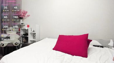 Shadow-Dance - Porn Video [Bongacams]: recorded performance, enthusiastic broadcaster, captivating cleavage