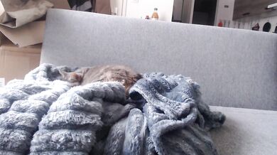 billytis - Porn Video [Cam4]: vibrant content creator, voluptuous porn slut, perfectly contoured décolletage