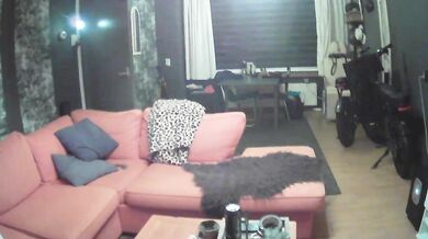 jokerharley25 - Porn Video [Cam4]: svelte frame, stream snapshot, seductive mounds