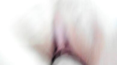 brittani-jef - Porn Video [Bongacams]: exquisite porn slut, dazzling goddess, elegant bust