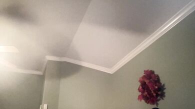 Asian_Talia - Porn Video [Cam4]: webcam pleasure ride, exquisite bottom, streaming archive