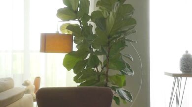 Emma_lu1's new record: a stunning frame on cam with a gorgeous girl