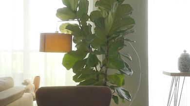 Emma_lu1's new record: a stunning frame on cam with a gorgeous girl