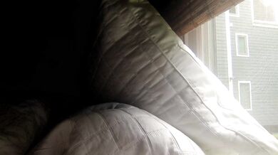 SexySara888 - Porn Video [Cam4]: vibrant streamer, searing tremors, streaming record