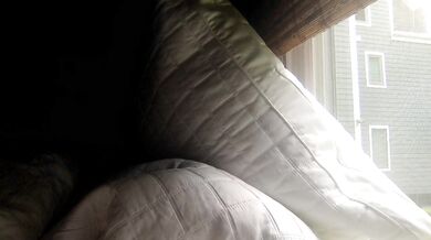 SexySara888 - Porn Video [Cam4]: vibrant streamer, searing tremors, streaming record