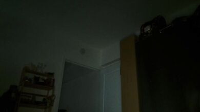 billytis - Porn Video [Cam4]: voluptuous ass, breathtaking figure, webcam chat