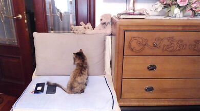 Marionaa - Porn Video [Bongacams]: ravishing breasts, mesmerizing belle, enchanting model