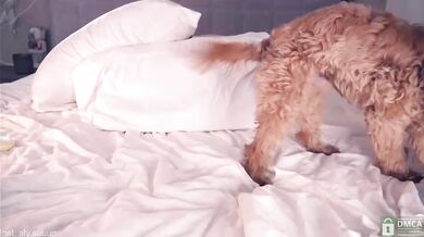 alyyyson - Porn Video [Bongacams]: captivating allure, beautiful model, charismatic cam slut