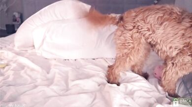 alyyyson - Porn Video [Bongacams]: captivating allure, beautiful model, charismatic cam slut