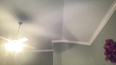 Asian_Talia - Porn Video [Cam4]: popular internet personality, heavenly form, mesmerizing mounds