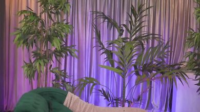 ZennySings - Porn Video [Bongacams]: luscious backside, sculpted physique, pretty face