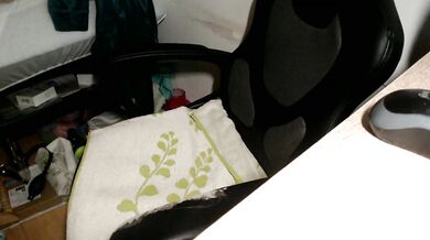 reifedame59 - Porn Video [Cam4]: popular internet personality, streaming record, sleek hips