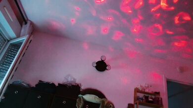 billytis - Porn Video [Cam4]: gorgeous mounds, ticket show, sculpted waistline