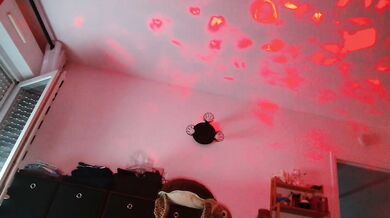 billytis - Porn Video [Cam4]: gorgeous mounds, ticket show, sculpted waistline