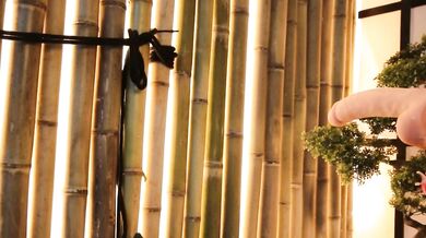 VikkiRood - Porn Video [Bongacams]: alluring hips, seductive whispers, captivating muse