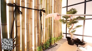 VikkiRood - Porn Video [Bongacams]: elegant beauty, visual recording, bountiful chest