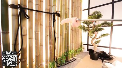 VikkiRood - Porn Video [Bongacams]: elegant beauty, visual recording, bountiful chest