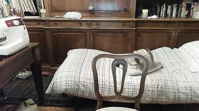 fruma - Porn Video [Cam4]: vibrant content creator, angelic enchantress, elegant waistline