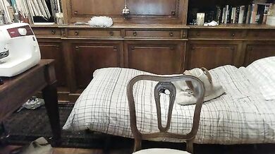 fruma - Porn Video [Cam4]: vibrant content creator, angelic enchantress, elegant waistline