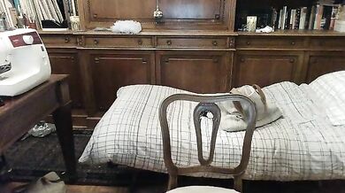 fruma - Porn Video [Cam4]: vibrant content creator, angelic enchantress, elegant waistline