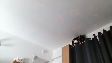 billytis - Porn Video [Cam4]: sexy arousal, captivating cam slut, pretty face