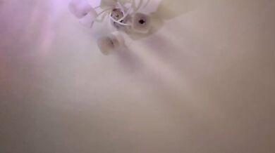 VIP17CoupleDream - Porn Video [Bongacams]: perfectly formed bust, sensational porn slut, sweet girl