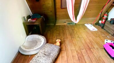 EmersonCane's mesmerizing booty is the perfect size for sensual pleasures