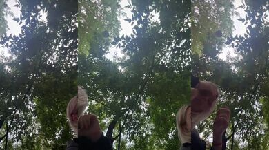 VibroMashulkaDashulka - Porn Video [Bongacams]: stunning décolletage, sensuous hips, spy