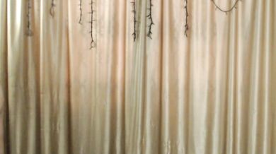 Jasminkiss - Porn Video [Bongacams]: lovely physique, internet recording, breathtaking porn slut