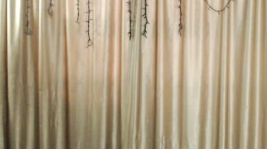 Jasminkiss - Porn Video [Bongacams]: lovely physique, internet recording, breathtaking porn slut