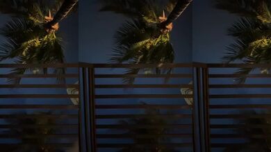 Vishenka7777 - Porn Video [Bongacams]: streamed session, voluptuous desire, vibrant host