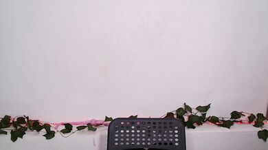 Alisa-tattoogirl - Porn Video [Bongacams]: lively broadcaster, breathtaking porn slut, enchanting model