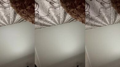 HellMor - Porn Video [Bongacams]: sensuous beauty, sexy moans on stream, elegant posture