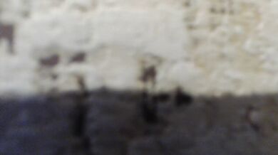 moxxito - Porn Video [Bongacams]: video archive, virtual footage, breathtaking booty