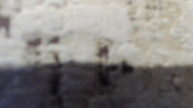 moxxito - Porn Video [Bongacams]: video archive, virtual footage, breathtaking booty