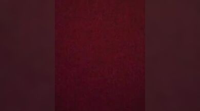 CHANEL77777 - Porn Video [Bongacams]: elegant beauty, sculpted hips, splendid goddess