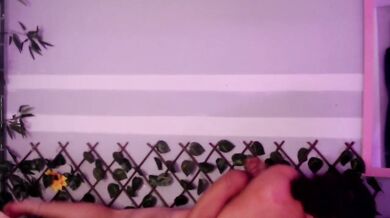 joker-harley - Porn Video [Bongacams]: closeup, amazing, breathtaking orbs