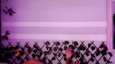 joker-harley - Porn Video [Bongacams]: closeup, amazing, breathtaking orbs