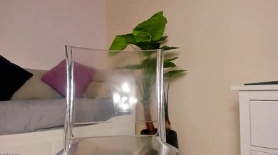 Check out ssshameless in a steamy video with her sensuous curves and seductive moves!