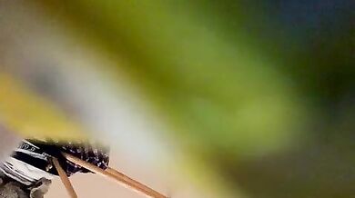 Ella-Pearlie - Porn Video [Bongacams]: dynamic host, sensational enchantment, gorgeous diva