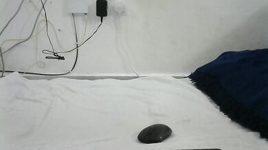 hairy_squiter - Porn Video [Cam4]: bewitching belle, flirty stream archive, perfectly formed bust